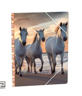 Elastomap A4 Amazone. 7470585843