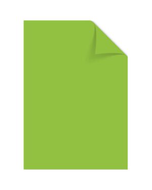 Papier Kangaro A4 120 grams 100 vel groen. K-0043F275; 2424717