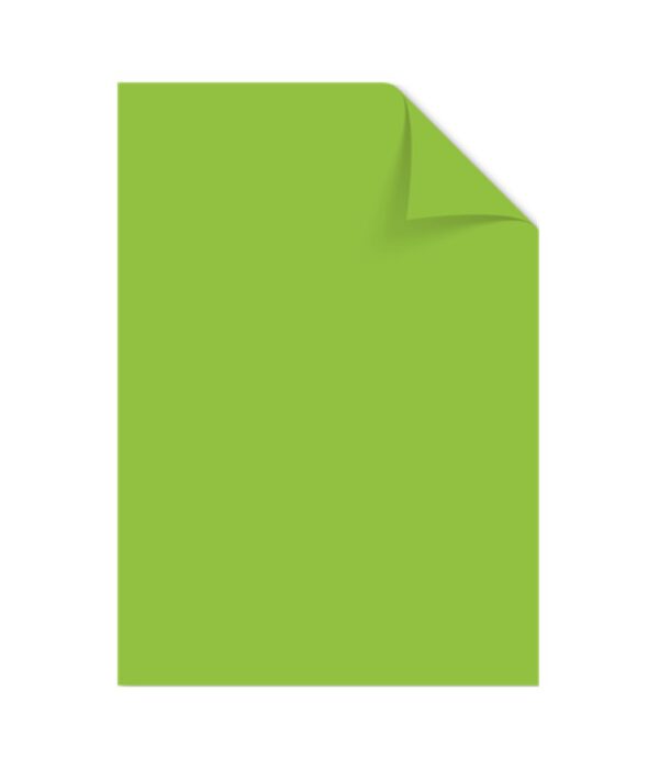 Papier Kangaro A4 120 grams 100 vel groen. K-0043F275; 2424717