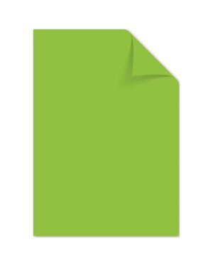 Papier Kangaro A4 160 grams pak à 50 vel groen. K-0039-275; 2424755