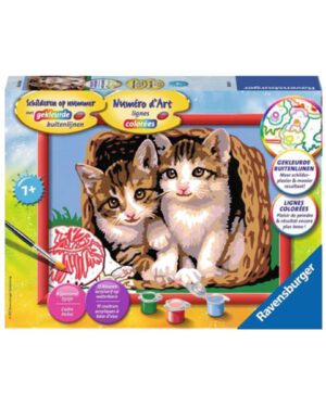 Schilderen op nummer Katjes in een mand. 240-2861; 2224443